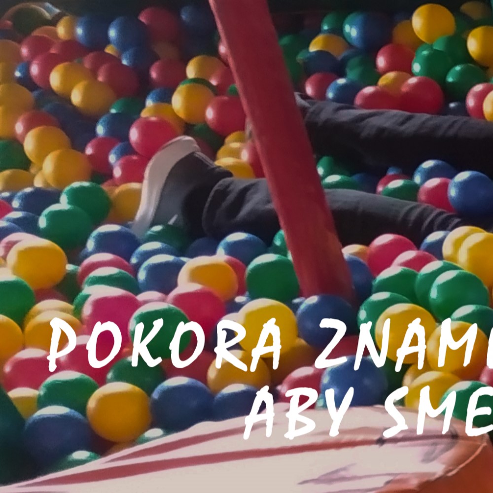 POKORA ZNAMENÁ PRIJAŤ REALITU BEZ TOHO, ABY SME SA JU SNAŽILI OKLAMAŤ