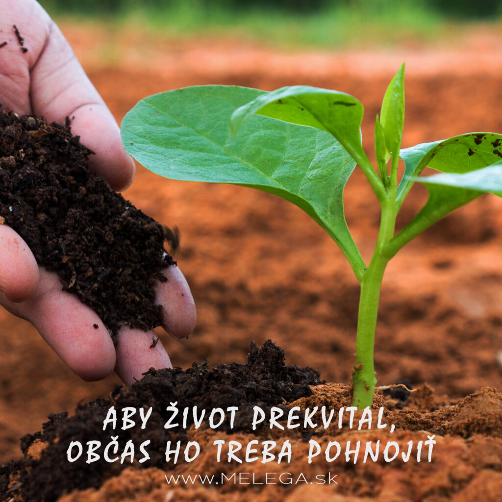 ABY ŽIVOT PREKVITAL, OBČAS HO TREBA POHNOJIŤ