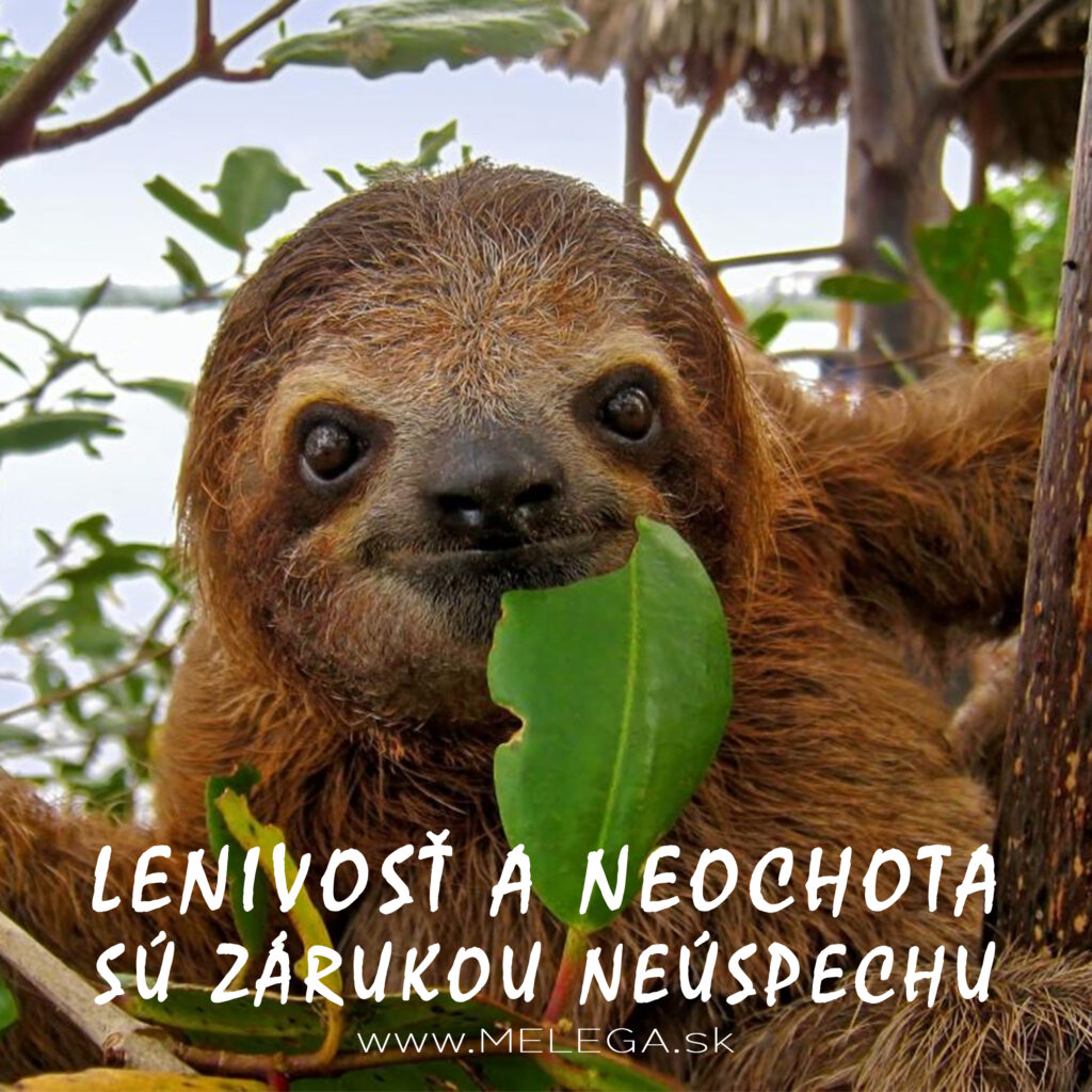 LENIVOSŤ A NEOCHOTA SÚ ZÁRUKOU NEÚSPECHU